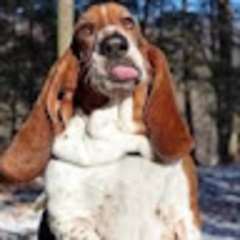 Meet your Posher, Rilee